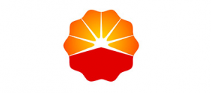 案例:中国石油天然气山东济南分公司
