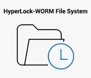 TerraMaster Presents HyperLock-WORM File System for Strict Data Protection