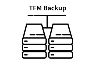 Mirror backup, can only choose RAID 1?