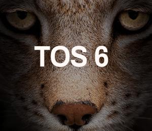 TerraMaster Launches New TOS 6 Insider Preview Program Participate in the Event to Win iPhone 15 Instantly